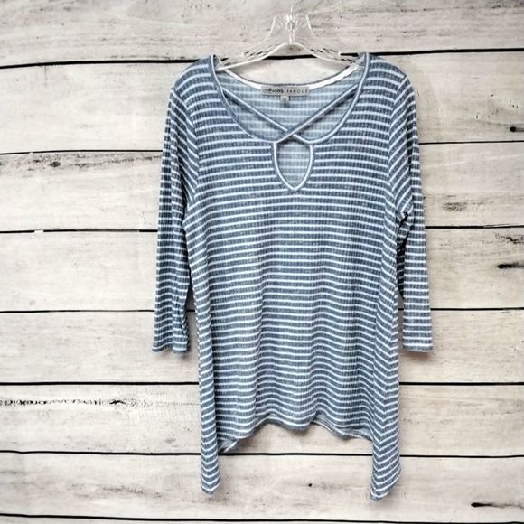 Absolutely Famous Blue White Striped Soft Knit Tunic Sz 1X Coastal Casual - Picture 1 of 7